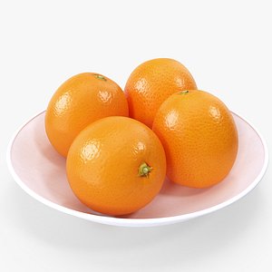 plate v-ray 3D model