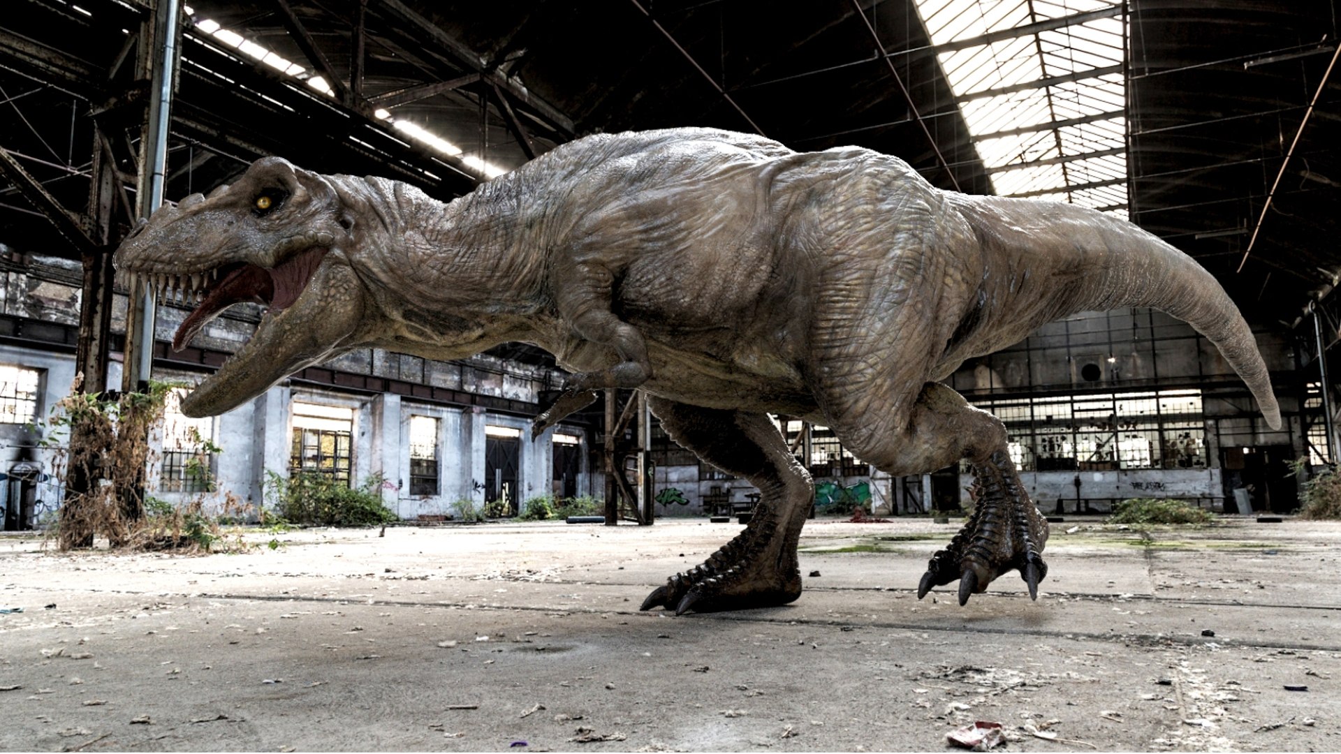 3D Tyrannosaurus Rex Rigged 3D https://p.turbosquid.com/ts-thumb/AP/t4Xz3G/2F/14/jpg/1761040669/1920x1080/fit_q87/c6b5abfcd629cec00332ebd3303bc41f66112d3d/14.jpg