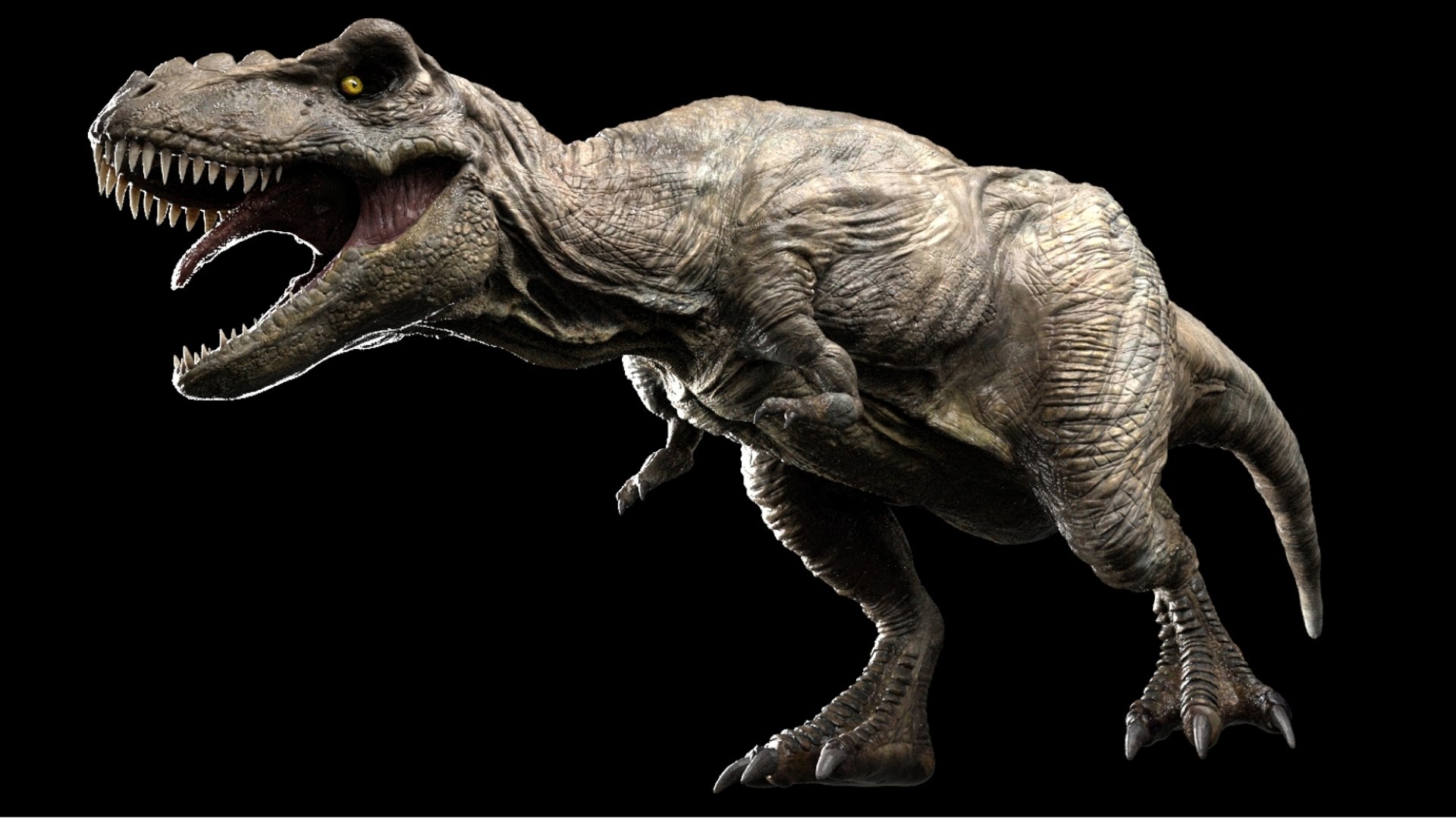 3D Tyrannosaurus Rex Rigged 3D https://p.turbosquid.com/ts-thumb/AP/t4Xz3G/3R/05/jpg/1761040661/1920x1080/fit_q87/a278cfffe2c147899461e4ca6c2d2931b4987000/05.jpg