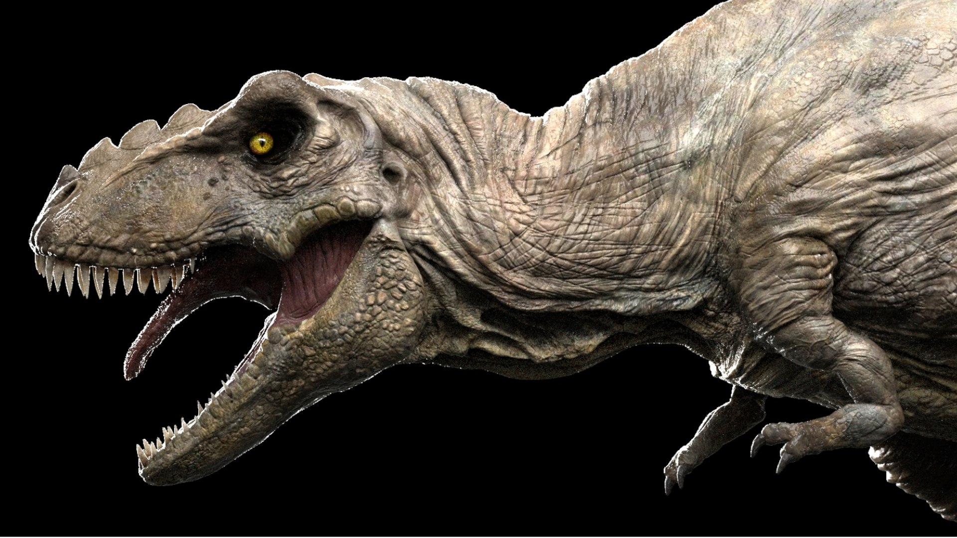 3D Tyrannosaurus Rex Rigged 3D https://p.turbosquid.com/ts-thumb/AP/t4Xz3G/Er/04/jpg/1761040660/1920x1080/fit_q87/4dfb42cd87634fcebc924c59067882facaeed478/04.jpg