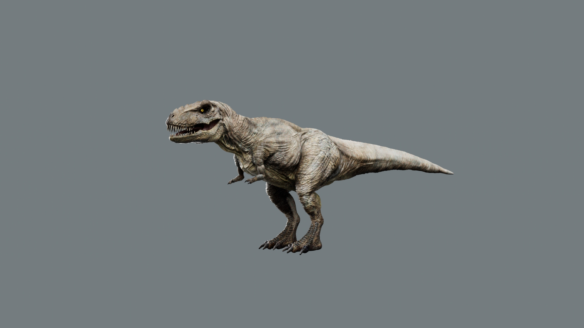 3D Tyrannosaurus Rex Rigged 3D https://p.turbosquid.com/ts-thumb/AP/t4Xz3G/Mu/tyrannosaurusrex/jpg/1761040677/1920x1080/turn_fit_q99/be573cb5d91c707ea91d6144f5b778099843555e/tyrannosaurusrex-1.jpg