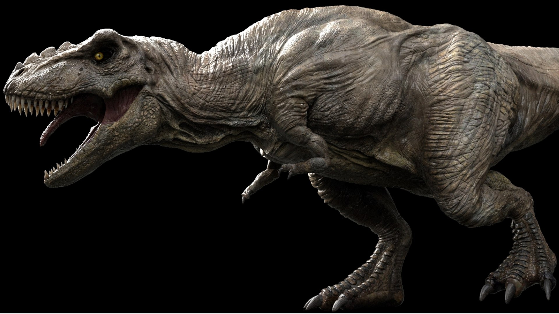 3D Tyrannosaurus Rex Rigged 3D https://p.turbosquid.com/ts-thumb/AP/t4Xz3G/VH/07/jpg/1761040663/1920x1080/fit_q87/0955b9ed78b3af3a70cd63a62bd6bc2c7b4ccaa4/07.jpg
