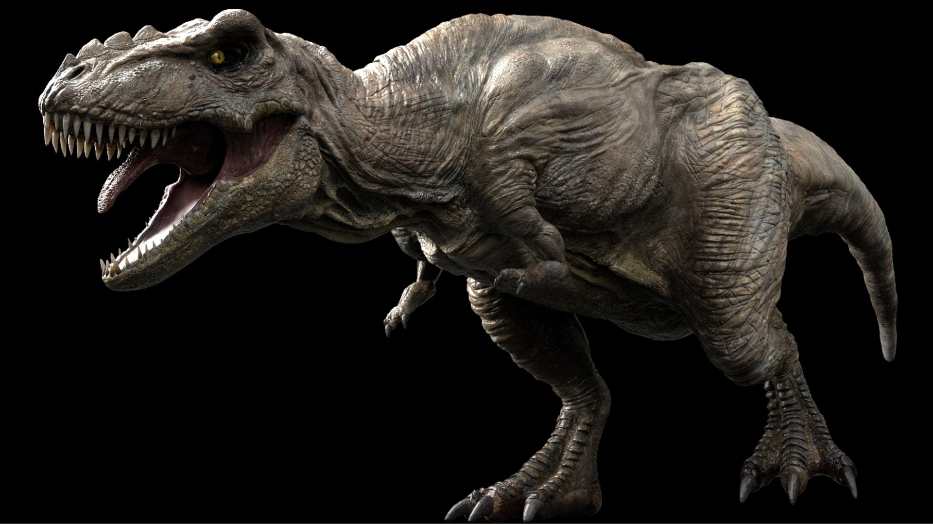 3D Tyrannosaurus Rex Rigged 3D https://p.turbosquid.com/ts-thumb/AP/t4Xz3G/WH/06/jpg/1761040662/1920x1080/fit_q87/25a35af31ec4b7043ece832687cce68b5f66c4f4/06.jpg