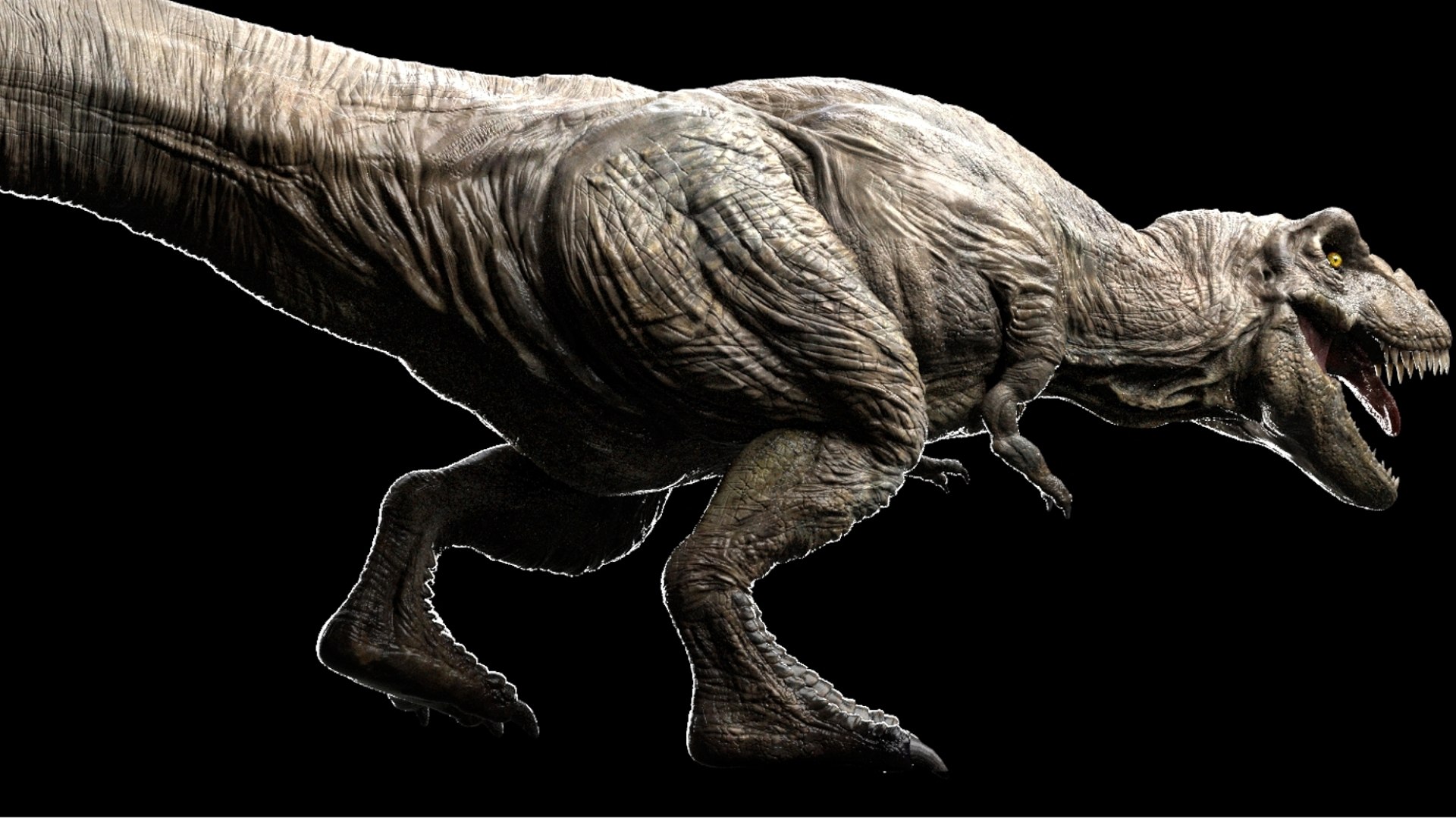 3D Tyrannosaurus Rex Rigged 3D https://p.turbosquid.com/ts-thumb/AP/t4Xz3G/hm/09/jpg/1761040666/1920x1080/fit_q87/3987af88d3441163261e6e3992ff39e10848e469/09.jpg