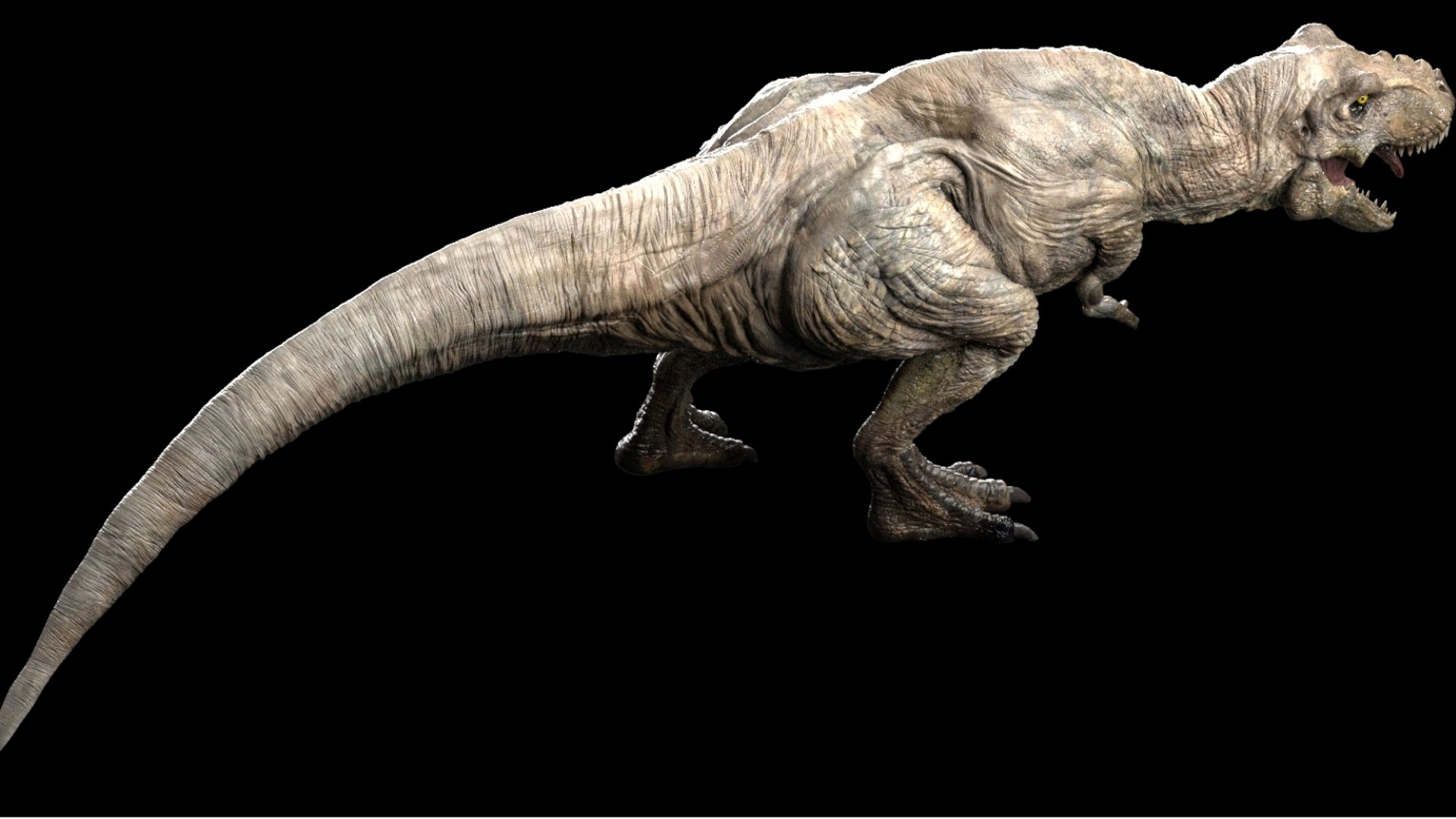 3D Tyrannosaurus Rex Rigged 3D https://p.turbosquid.com/ts-thumb/AP/t4Xz3G/n5/11/jpg/1761040668/1920x1080/fit_q87/8726b5b8ccba6c425370f6d46071f31d49788849/11.jpg