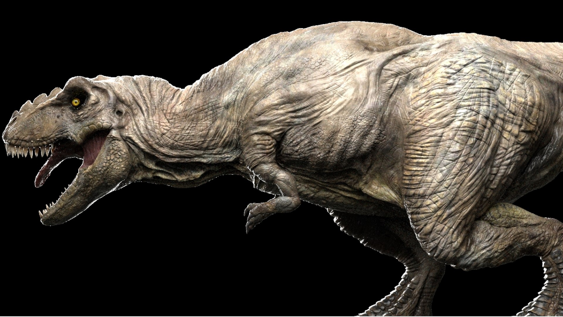 3D Tyrannosaurus Rex Rigged 3D https://p.turbosquid.com/ts-thumb/AP/t4Xz3G/rx/03/jpg/1761040658/1920x1080/fit_q87/88e8da5c8bf265ffca551e5ff7d3c05cd894b464/03.jpg