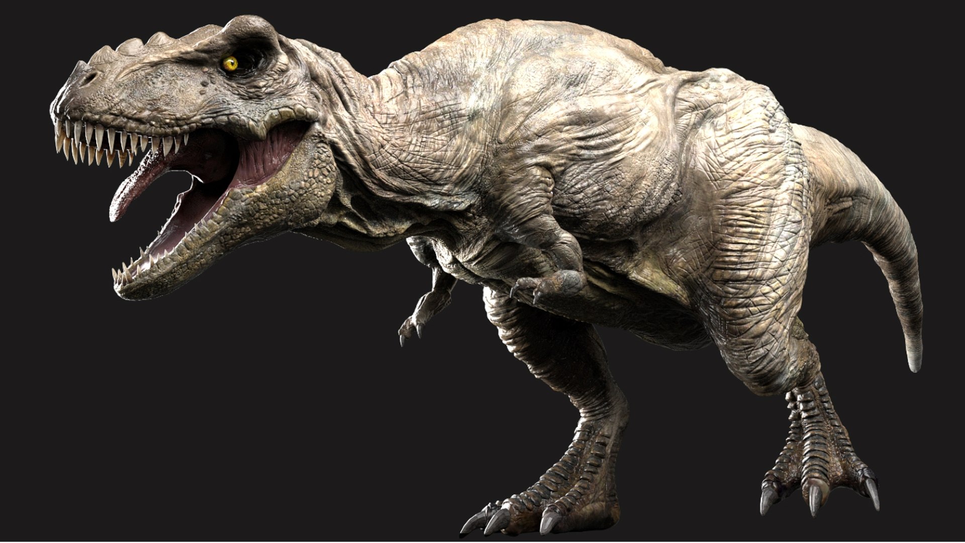3D Tyrannosaurus Rex Rigged 3D https://p.turbosquid.com/ts-thumb/AP/t4Xz3G/v9/02/jpg/1761040657/1920x1080/fit_q87/2f3116d74d03663bfe921bc88afee65bca28327d/02.jpg