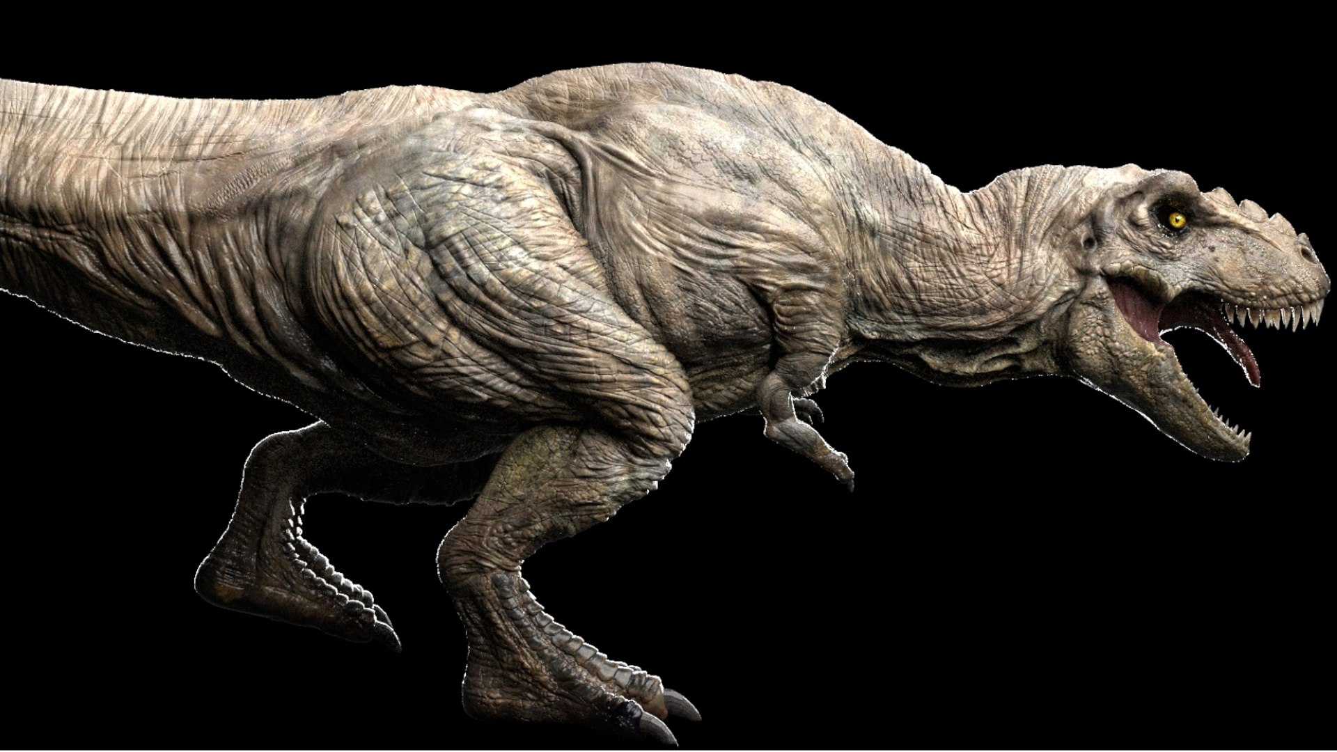 3D Tyrannosaurus Rex Rigged 3D https://p.turbosquid.com/ts-thumb/AP/t4Xz3G/yy/08/jpg/1761040665/1920x1080/fit_q87/694a675776d1f5c790e63e6da8ff47bcb6c50d8f/08.jpg