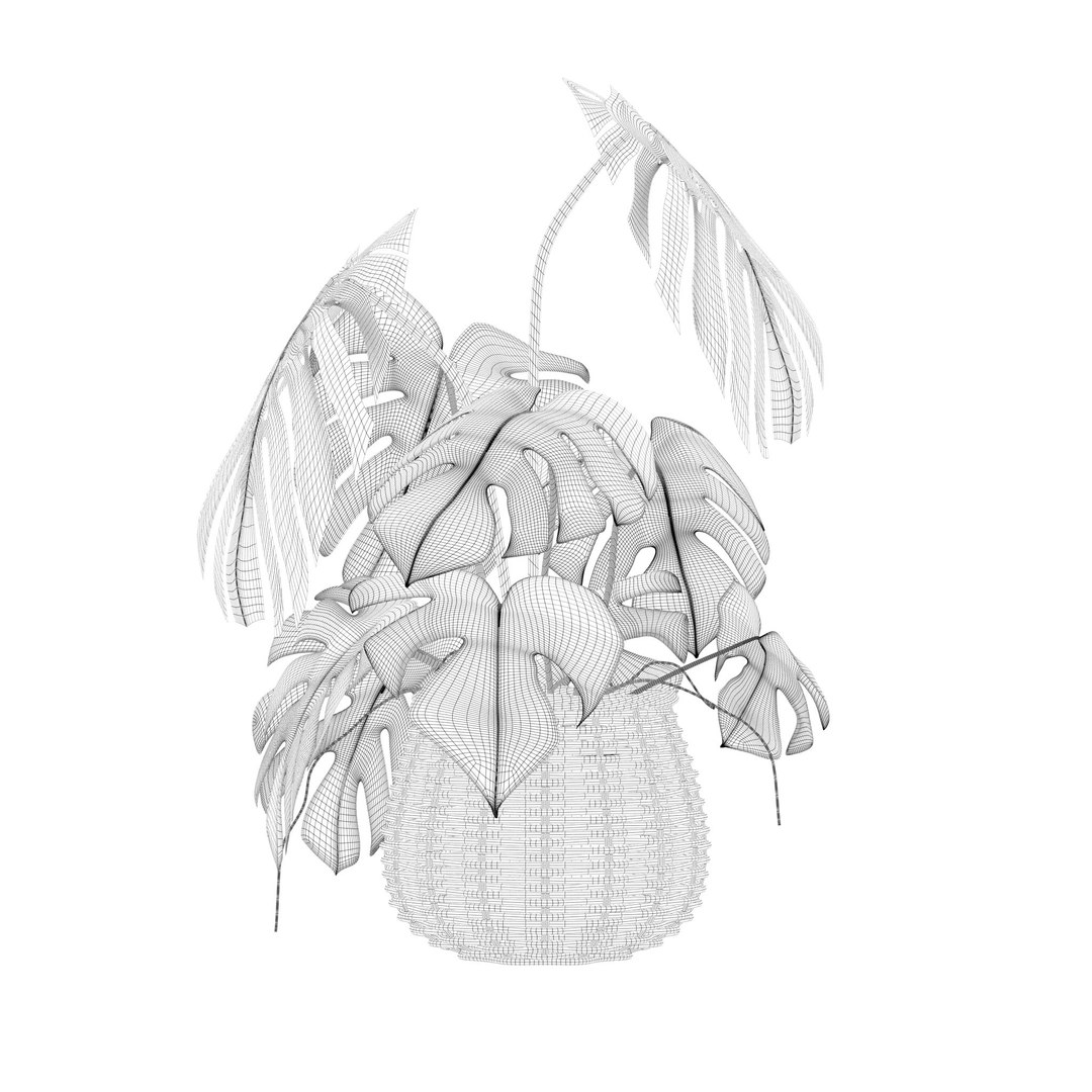 Monstera in rattan flower pot 3D model https://p.turbosquid.com/ts-thumb/AQ/1bjvUB/If/2/jpg/1707237632/1920x1080/fit_q87/74512e57eb20a02834ab61ef1cf399f6f6929be3/2.jpg