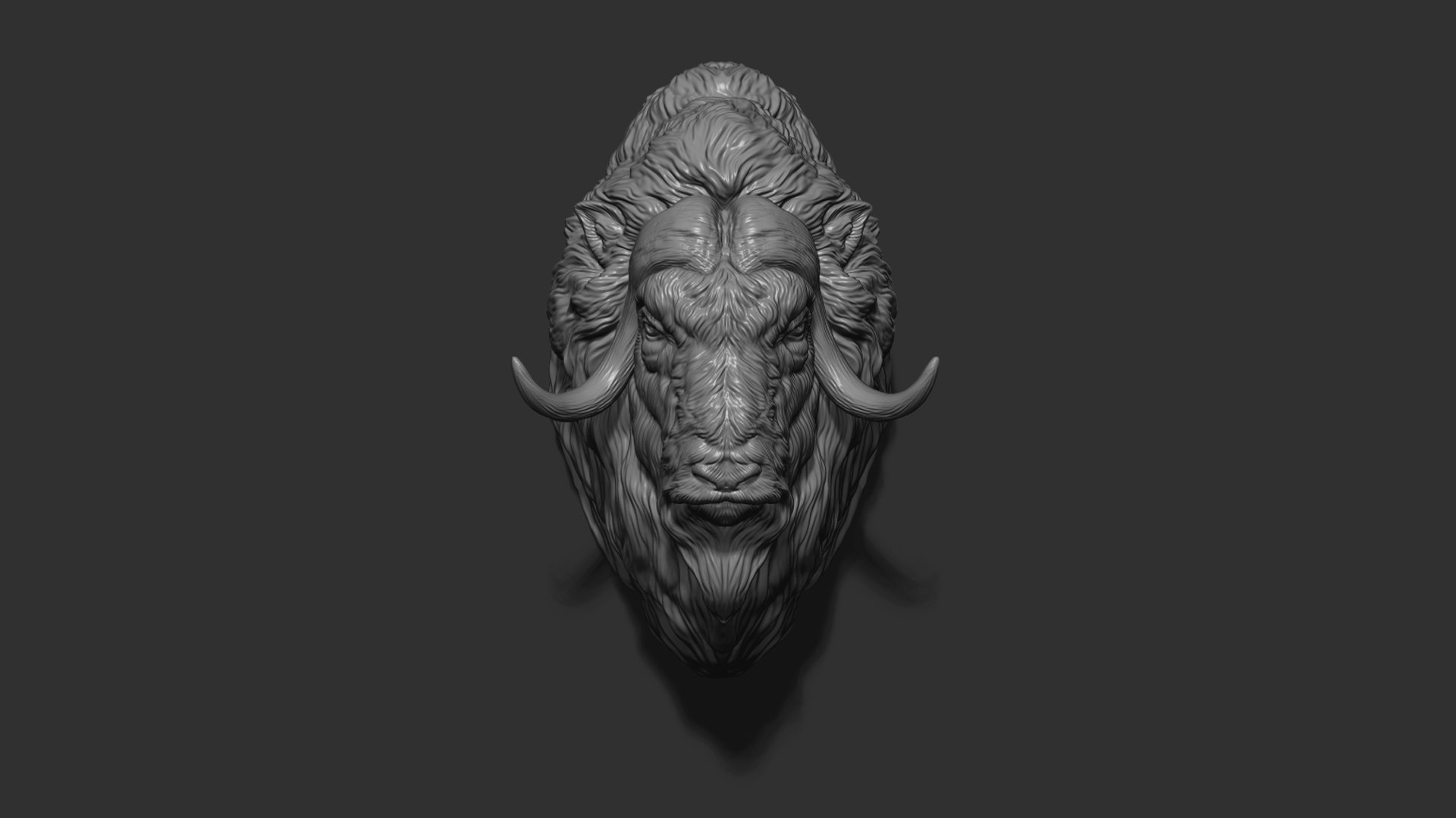 Musk Ox Head Bust 3D Model - TurboSquid 2024923