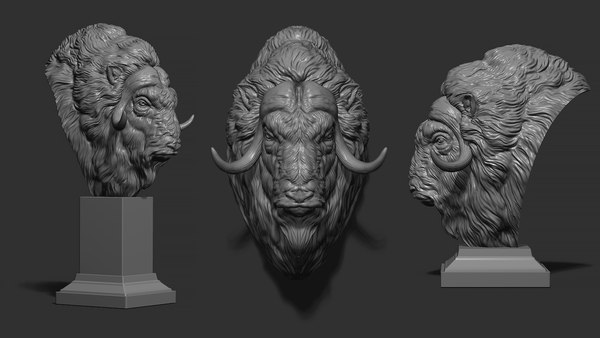 Musk Ox 3D Models for Download | TurboSquid