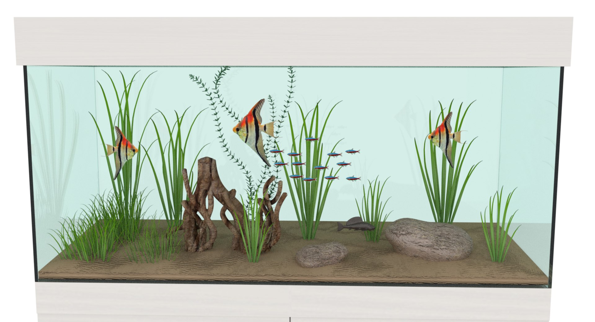 3d Model Aquarium Turbosquid 1198632