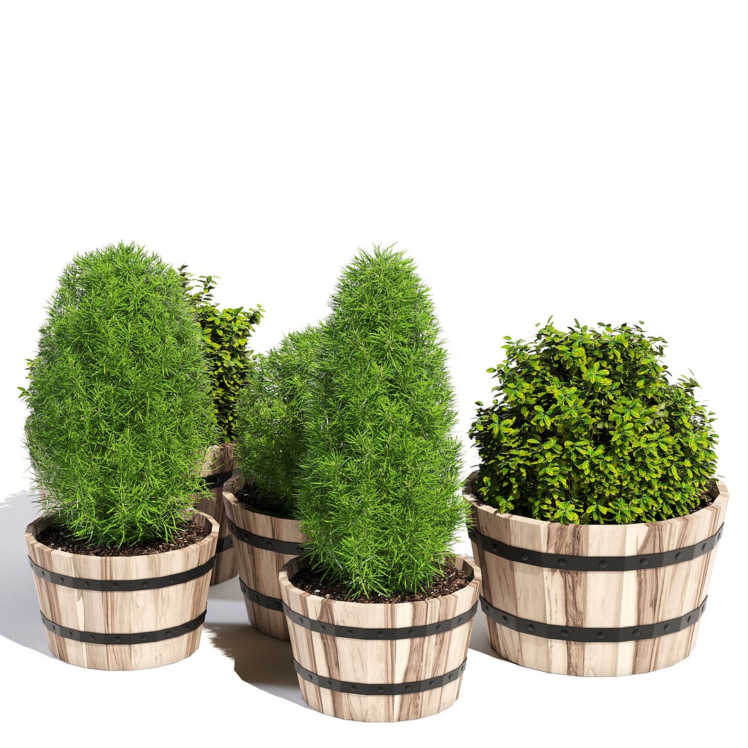 Pots Planter Model - TurboSquid 1199747