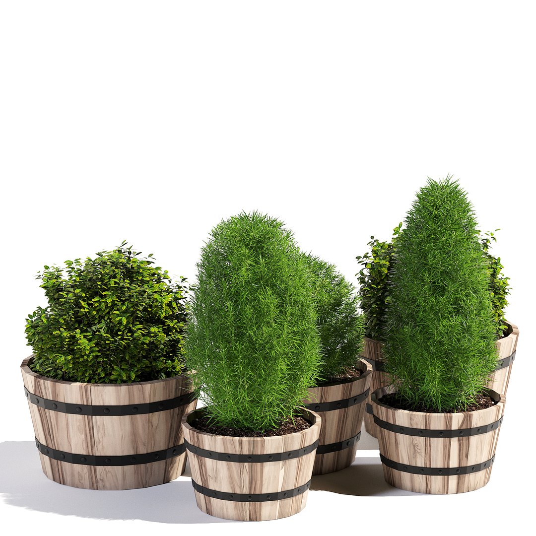 Pots Planter Model - TurboSquid 1199747