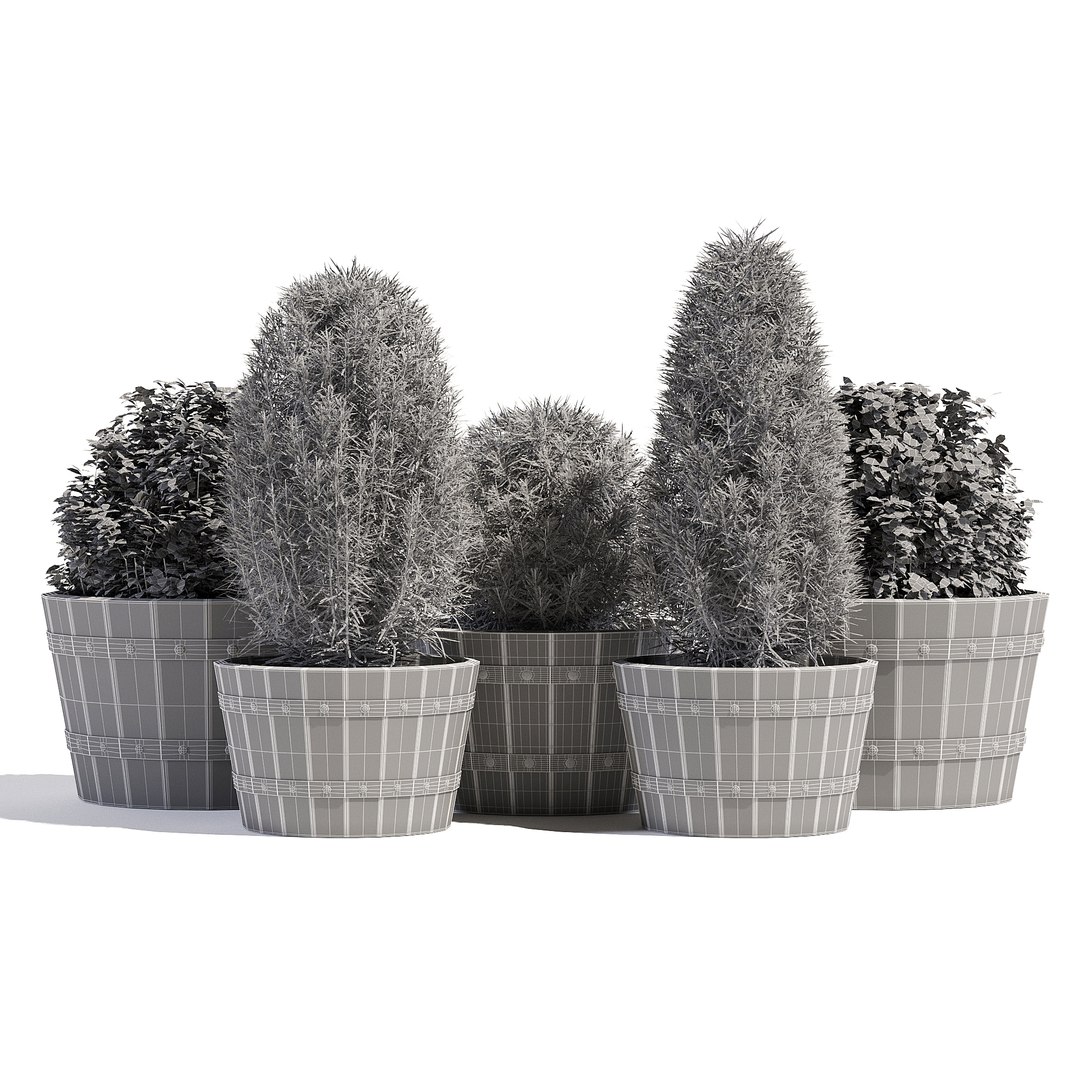 Pots Planter Model - TurboSquid 1199747