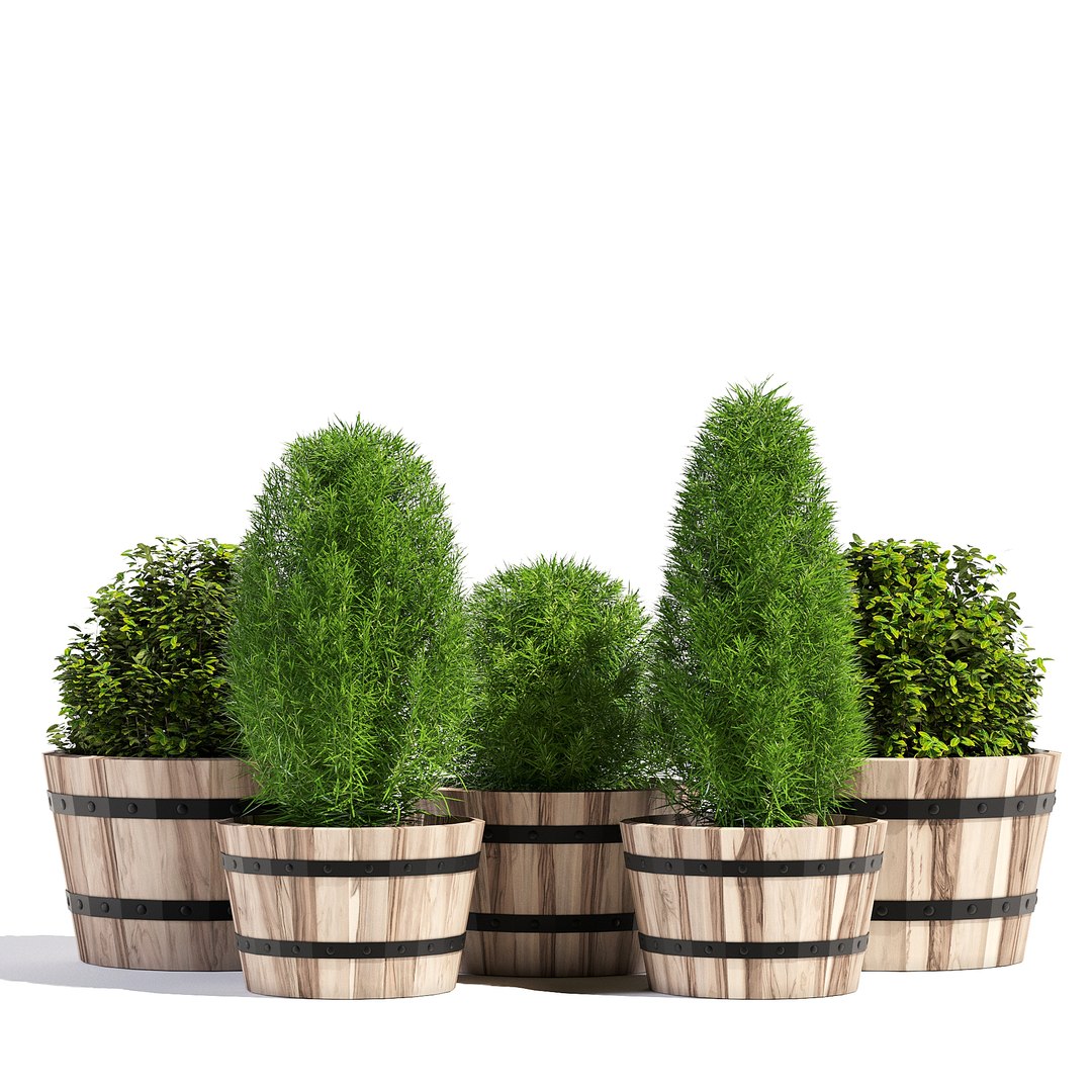 Pots Planter Model - TurboSquid 1199747