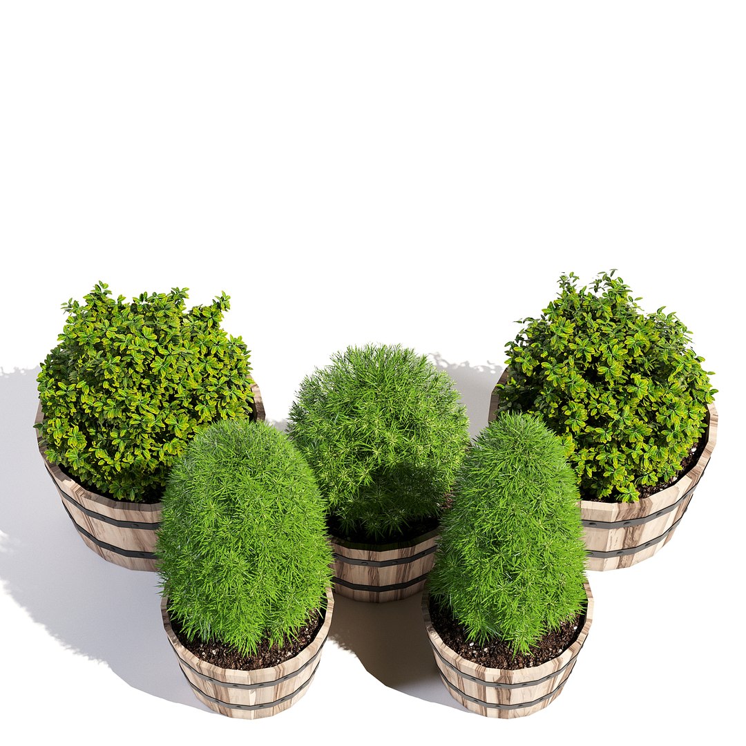 Pots Planter Model - TurboSquid 1199747