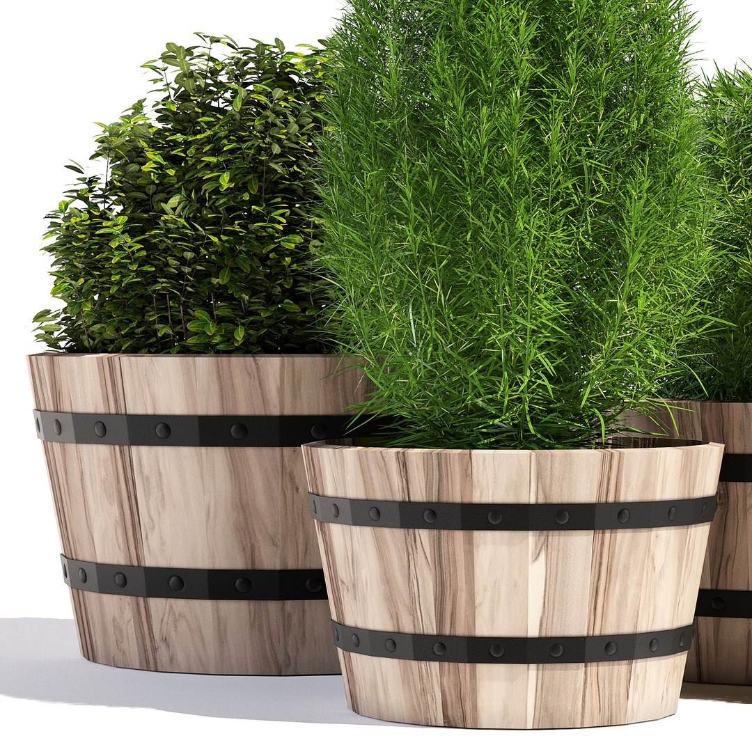 Pots Planter Model - TurboSquid 1199747