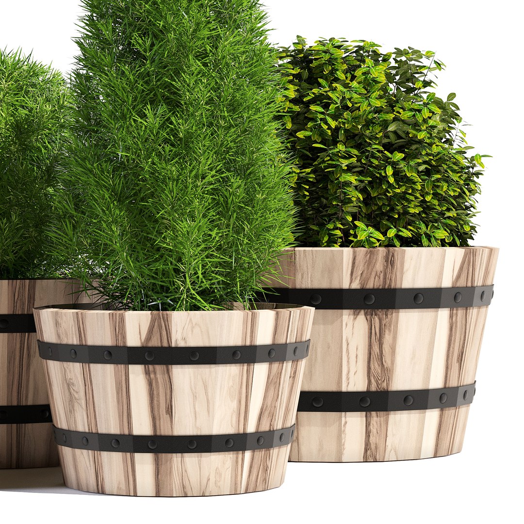 Pots Planter Model - TurboSquid 1199747