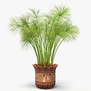 cyperus papyrus plant pot 3D model