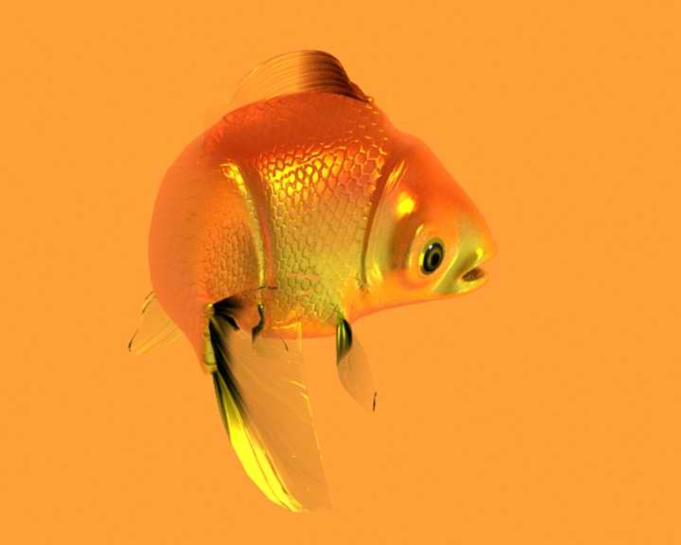 gold fish 3d model https://p.turbosquid.com/ts-thumb/AQ/TEh2LF/WNISjQRE/8/jpg/1126865447/1920x1080/fit_q87/46f70b237f211bcefeb8db4fda229c4453e862d1/8.jpg
