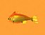 gold fish 3d model