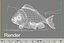 gold fish 3d model