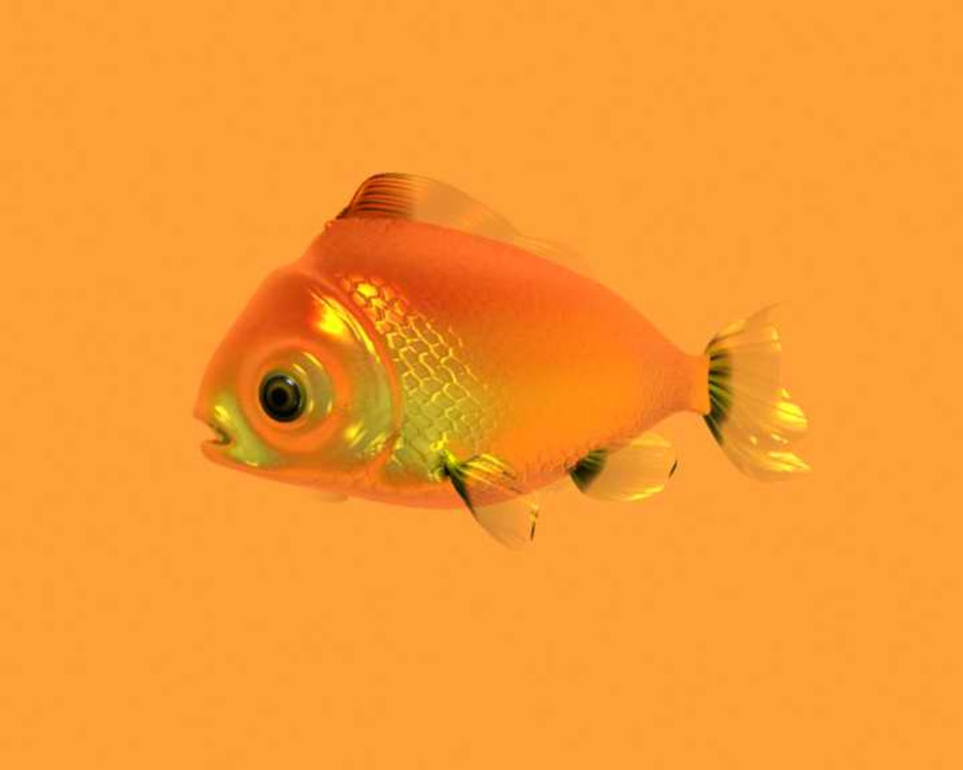 gold fish 3d model https://p.turbosquid.com/ts-thumb/AQ/TEh2LF/vP80CEpN/2/jpg/1126865427/1920x1080/fit_q87/16392e7362eccd79b0bd040b7402916b136ed014/2.jpg
