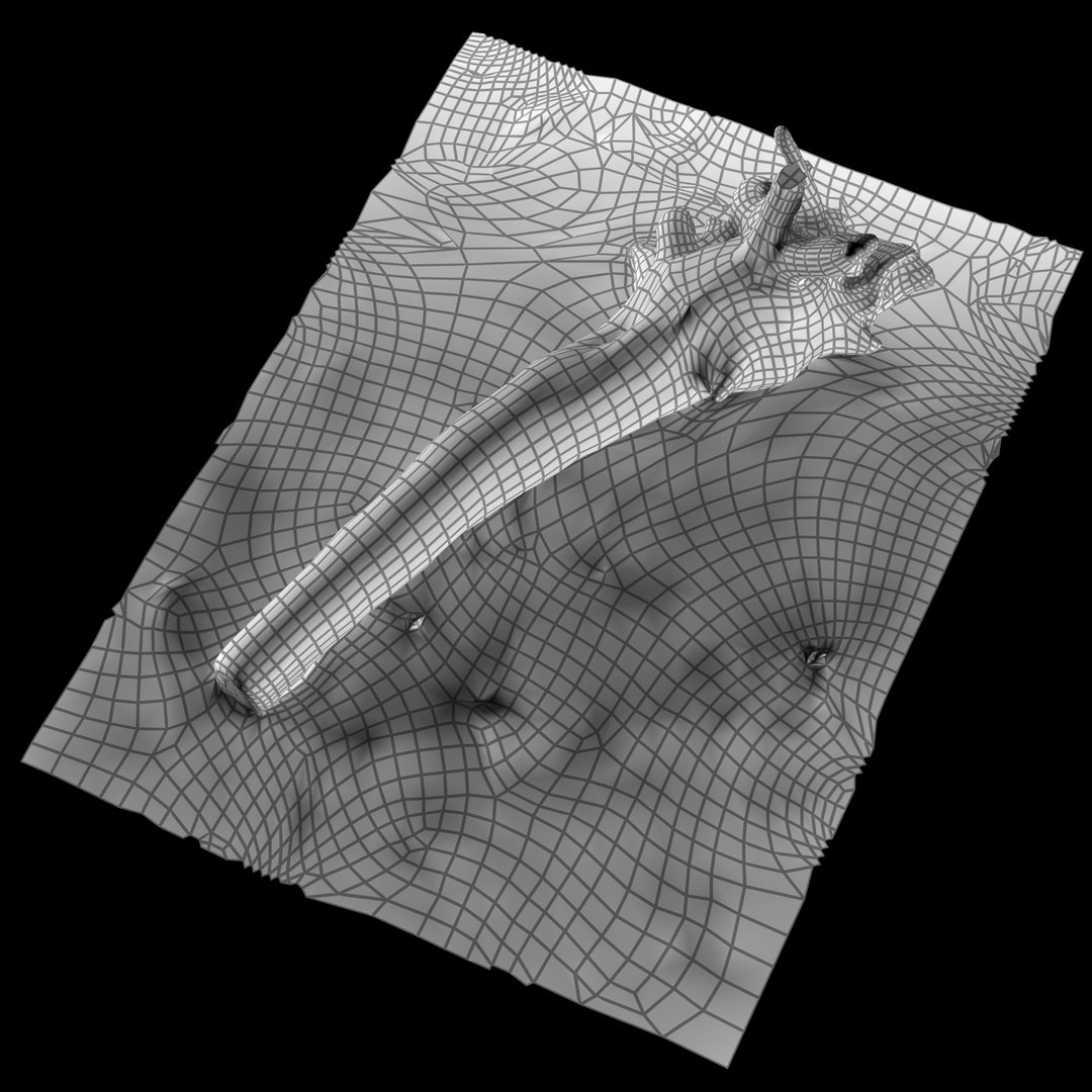 3D Model Stump 002 - TurboSquid 1939629