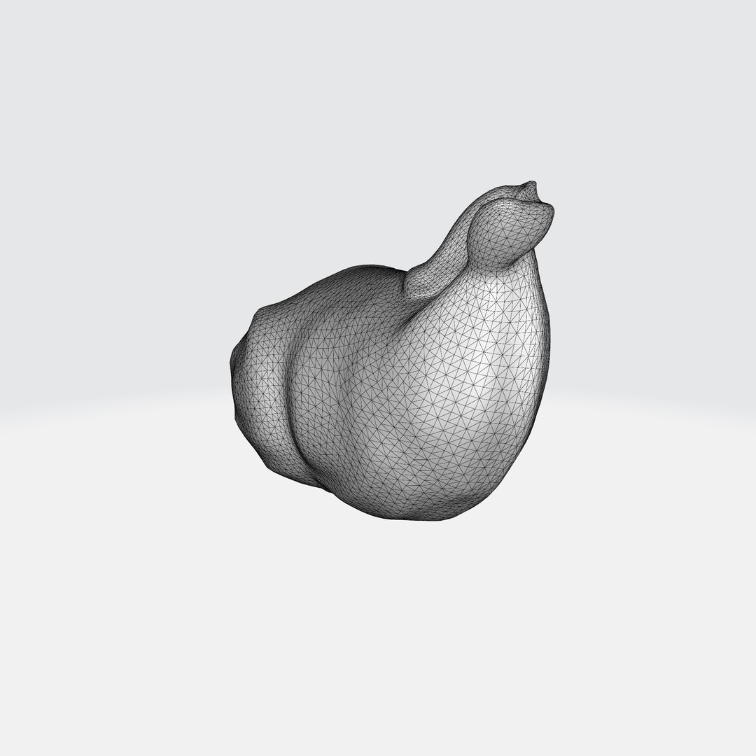 Seashell Conch Spiral Shape 3D - TurboSquid 2268813