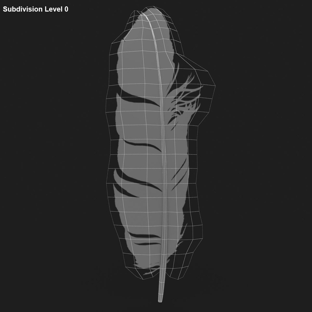 3D Realistic Pigeon Feather - TurboSquid 1196023