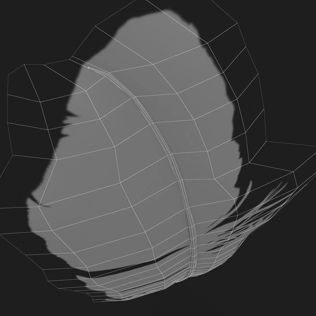 3D Realistic Pigeon Feather - TurboSquid 1196023
