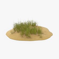 Sand Dunes with Grass 02