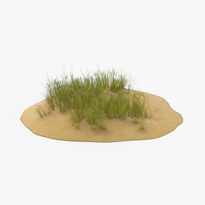 Sand Dunes with Grass 02