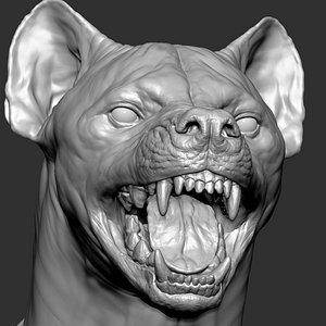 Hyena  with Facial Expressions 3D