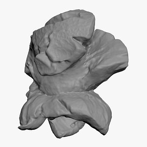 Popcorn for 3D Print