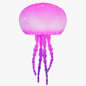Jelly Fish Animate 3D model