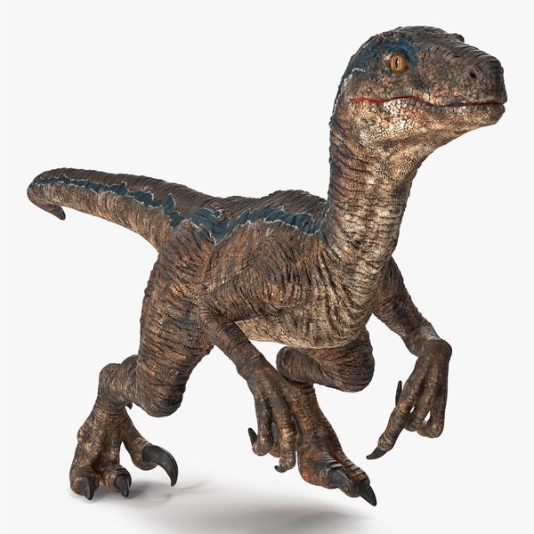 3D model velociraptor - TurboSquid 1447425