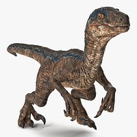 Velociraptor Walking Pose 3D Model
