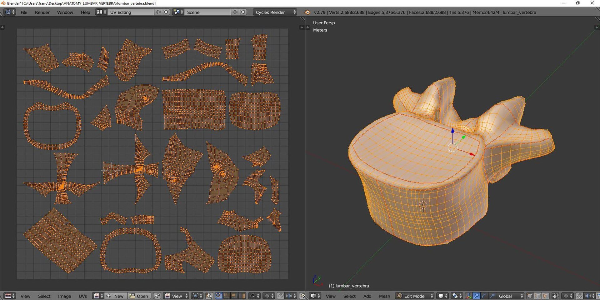 Human Lumbar Vertebra 3D Model - TurboSquid 1170151