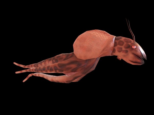 octopus monster 3D model
