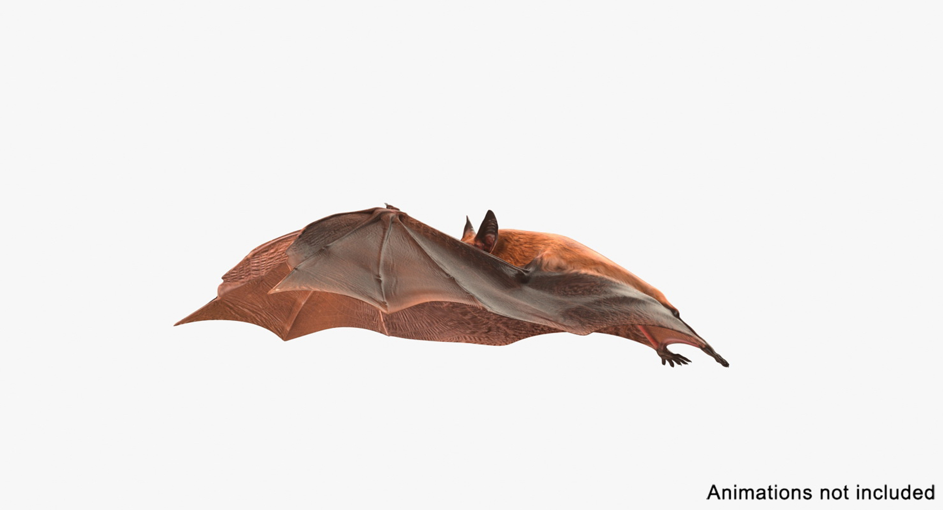 Bat Rigged 3d C4d