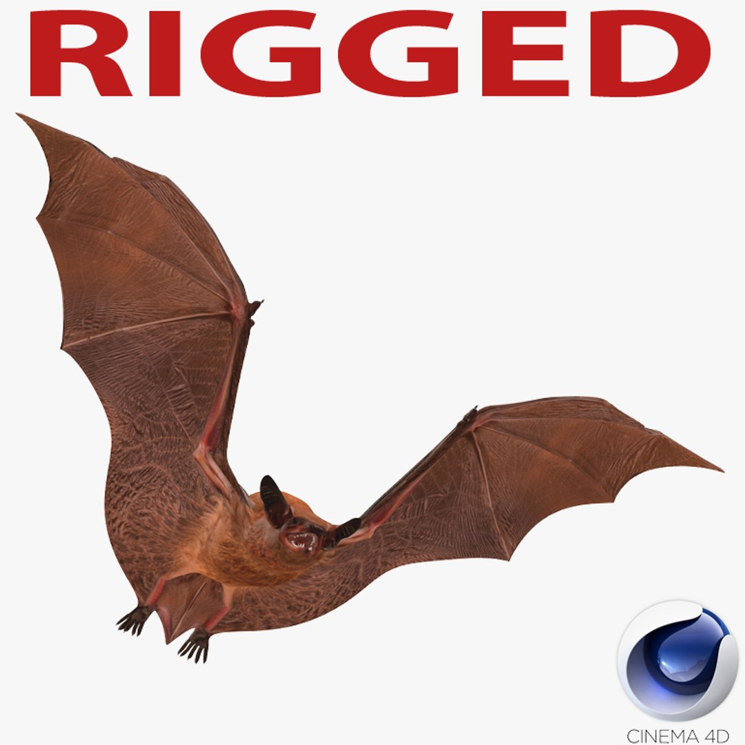 Bat Rigged for Cinema 4D 3D model preview