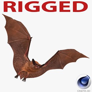 bat rigged 3d c4d