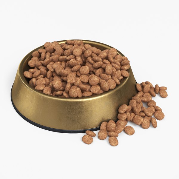 3D Pet Food Bowl Metal With Food Gold