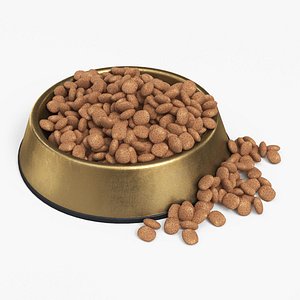 Pet Food Bowl Metal With Food Gold