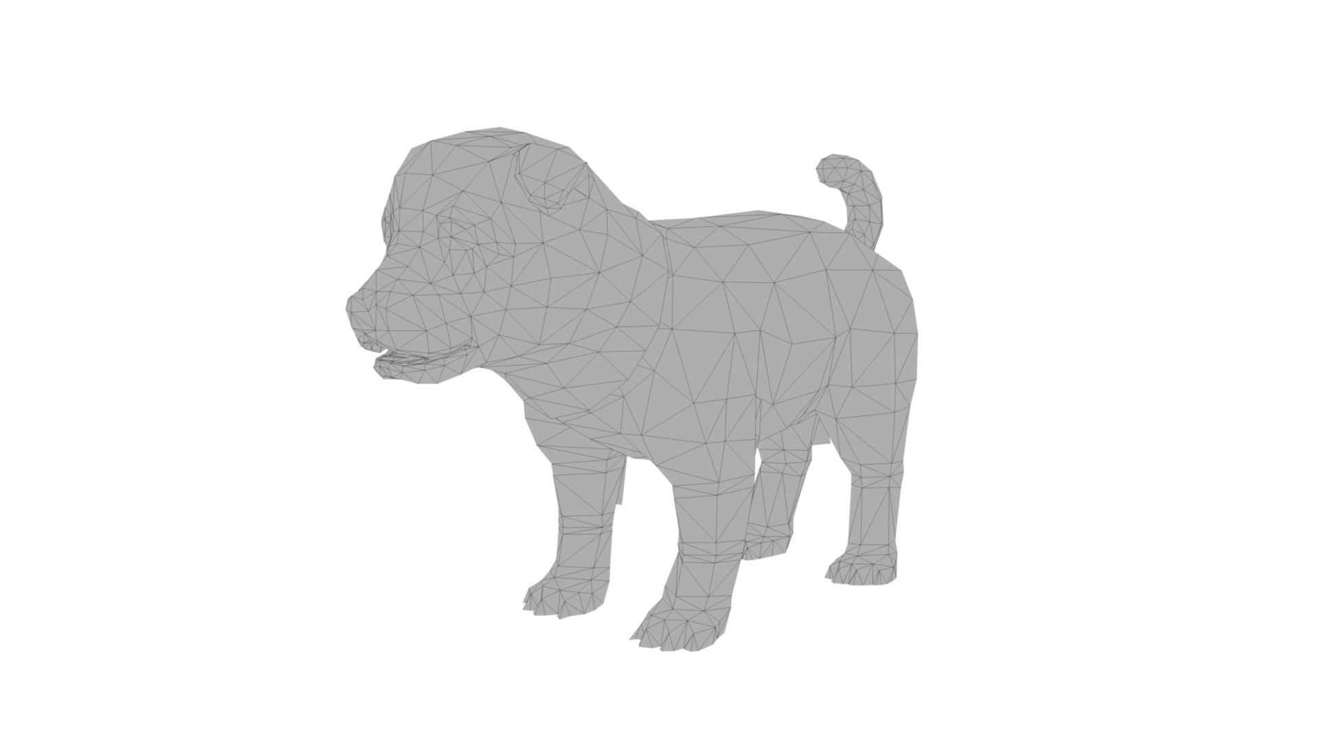 3D Puppy model https://p.turbosquid.com/ts-thumb/AR/N7Lijt/SD/dfs0008/jpg/1717091068/1920x1080/fit_q87/f895fe13541440a6beb0d2f9c458c7401b758652/dfs0008.jpg