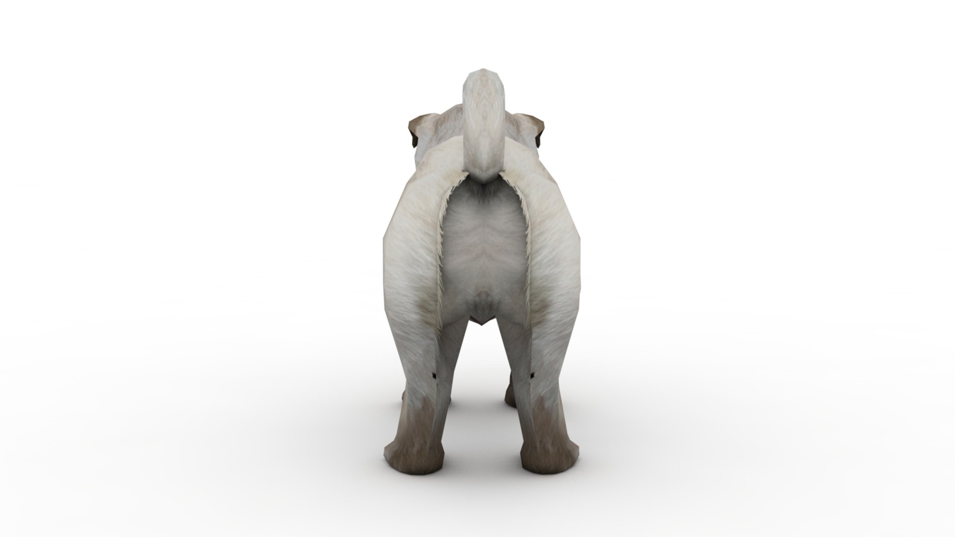 3D Puppy model https://p.turbosquid.com/ts-thumb/AR/N7Lijt/Tl/dfs0002/jpg/1717091065/1920x1080/fit_q87/9f29ec9680828cf470a27f109f29dcfb536ef360/dfs0002.jpg