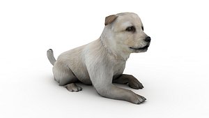 3D Puppy model