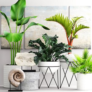 plants pot model